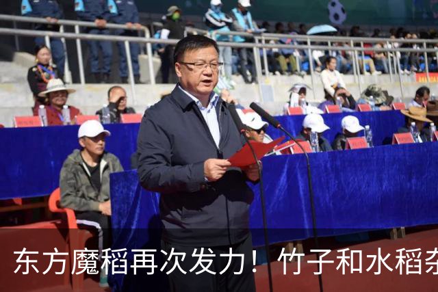东方魔稻再次发力！竹子和水稻杂交出2米巨稻，稻米带有竹子清香