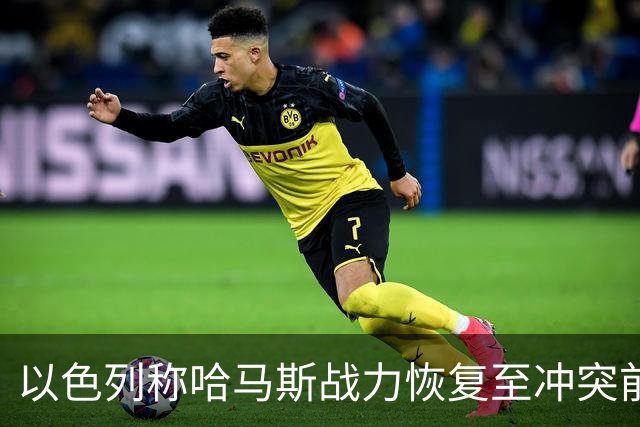 以色列称哈马斯战力恢复至冲突前水平：还要打！