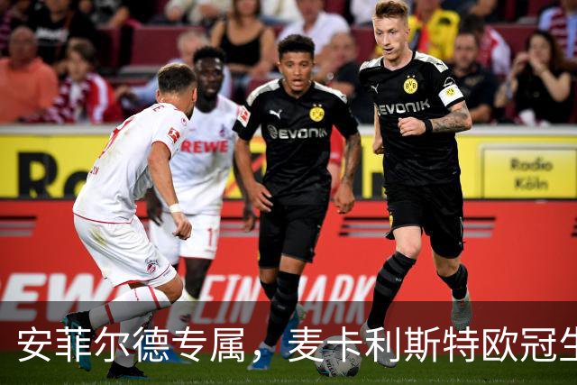 安菲尔德专属，麦卡利斯特欧冠生涯7球全部在主场打进