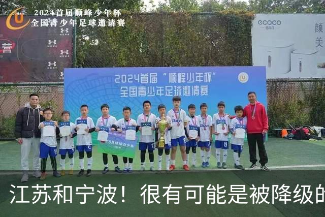 江苏和宁波！很有可能是被降级的两支球队