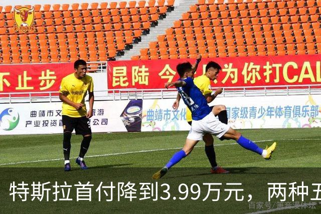 特斯拉首付降到3.99万元，两种五年免息方案怎么选？一文讲清楚