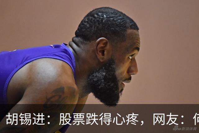 胡锡进：股票跌得心疼，网友：何止心疼，完全是肉疼