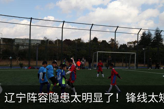 辽宁阵容隐患太明显了！锋线太矮，内线太弱，进八强就完成目标！