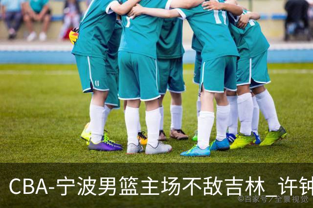 CBA-宁波男篮主场不敌吉林 许钟豪场边指挥